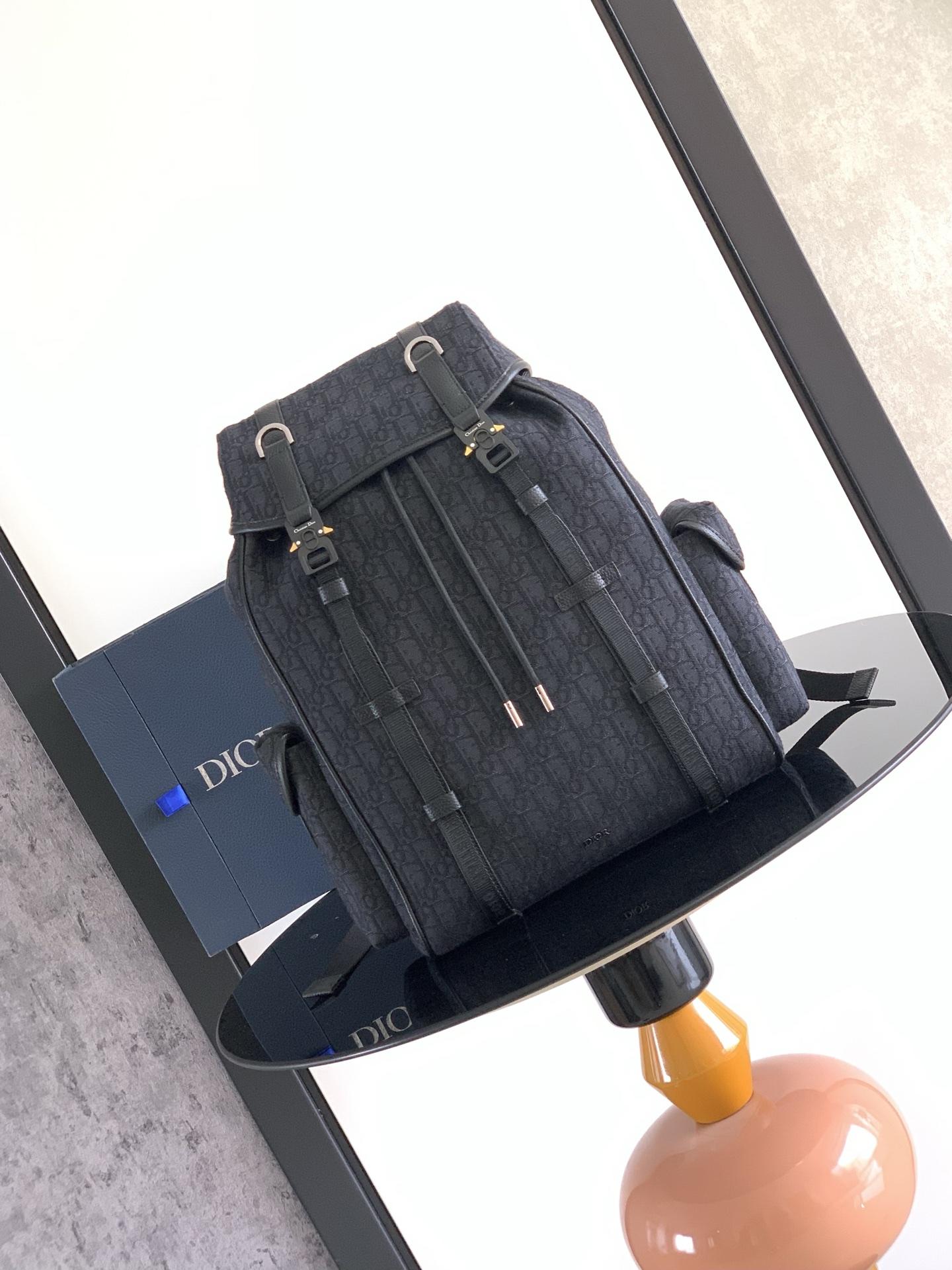 디올 백팩 (해외배송)