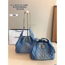 샤넬 크루즈 호보백 (국내배송)