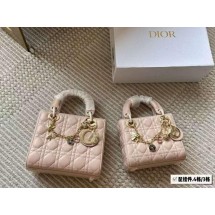 디올 레이디백 (국내배송)